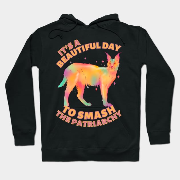 Beautiful Day to Smash the Patriarchy Caracal Hoodie by Caring is Cool